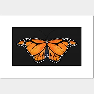 Butterfly Nr 1 - Wanderer (Monarch) Variations Posters and Art